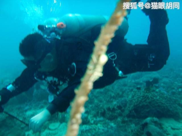 英雄之剑
